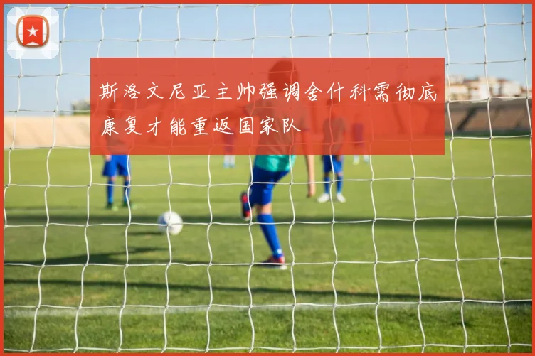 斯洛文尼亚主帅强调舍什科需彻底康复才能重返国家队